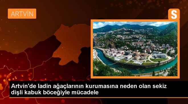 Artvin Şavşat’ta Karagöl-Sahara Milli Parkı’nda ladin ormanlarına zarar veren böceklere mücadele başlatıldı